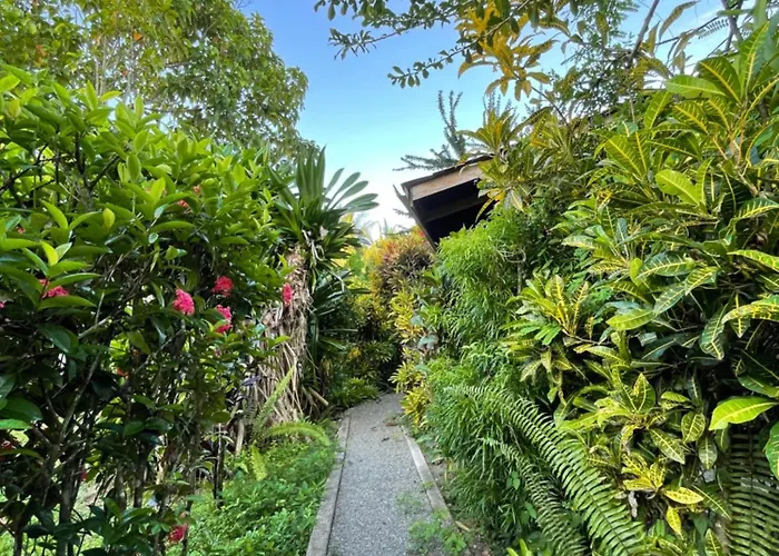 Pangea Lodge Tropical Vibe Home With Shared Pool