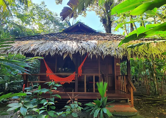 Cariblue Beach And Jungle Resort