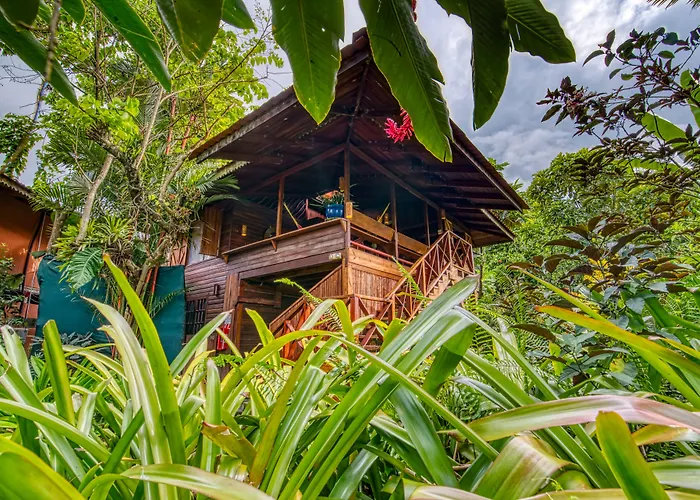 Hotel Banana Azul - Adults Only